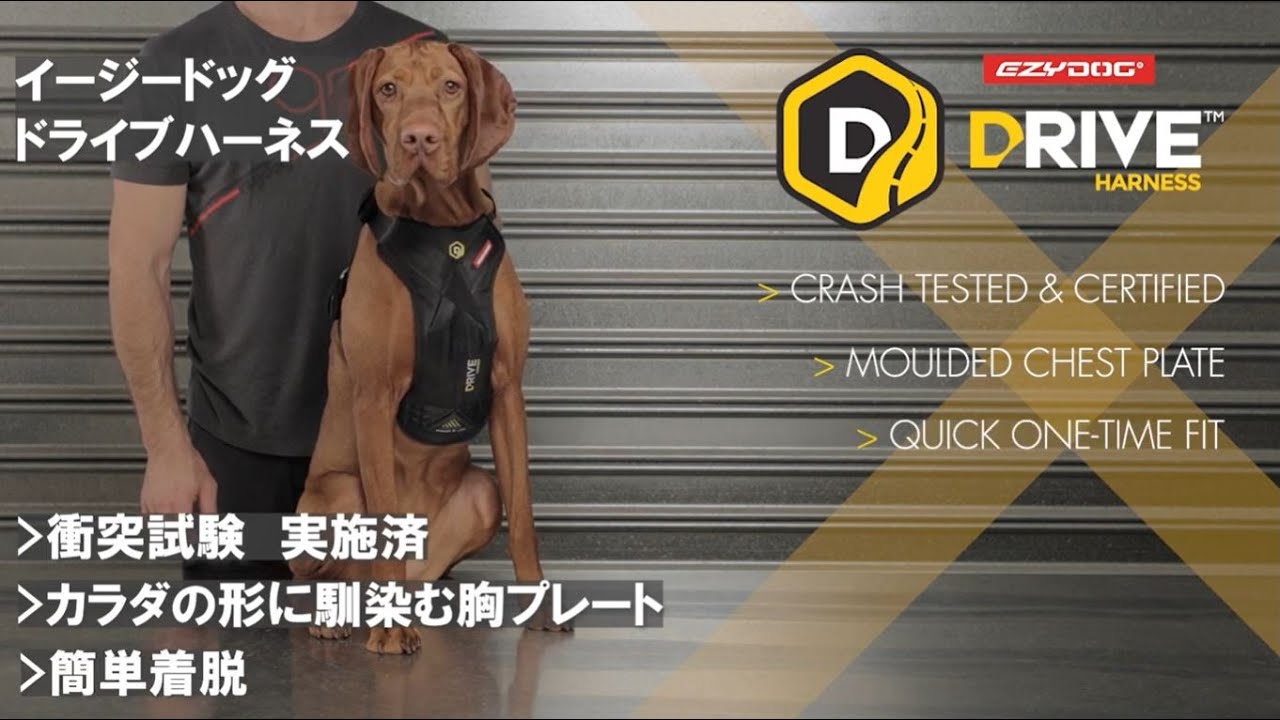 ドライブハーネス - EZYDOG