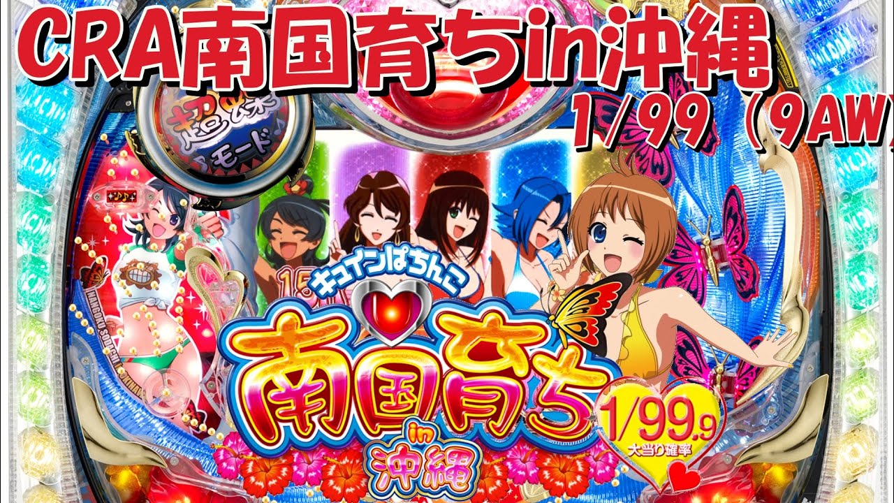 パチンコ実機 CRA南国育ちin沖縄9AW 1/99 甘デジ 循環式 激レア