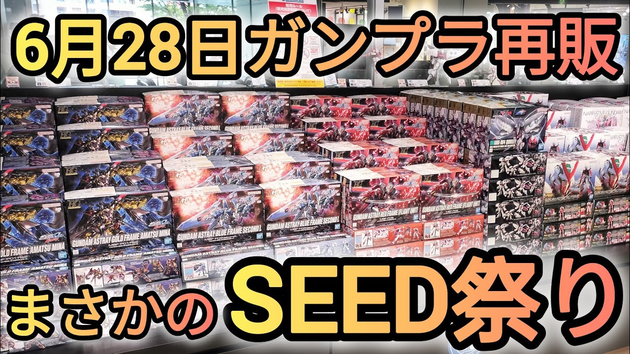 ガンプラ再販】6月28日はSEED祭りでした❗#gunpla #gundam #ガンプラ