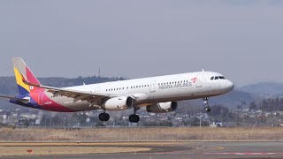 アシアナ航空 Aviationtagt A321-100 白色 アシアナ航空 Aviationtagt