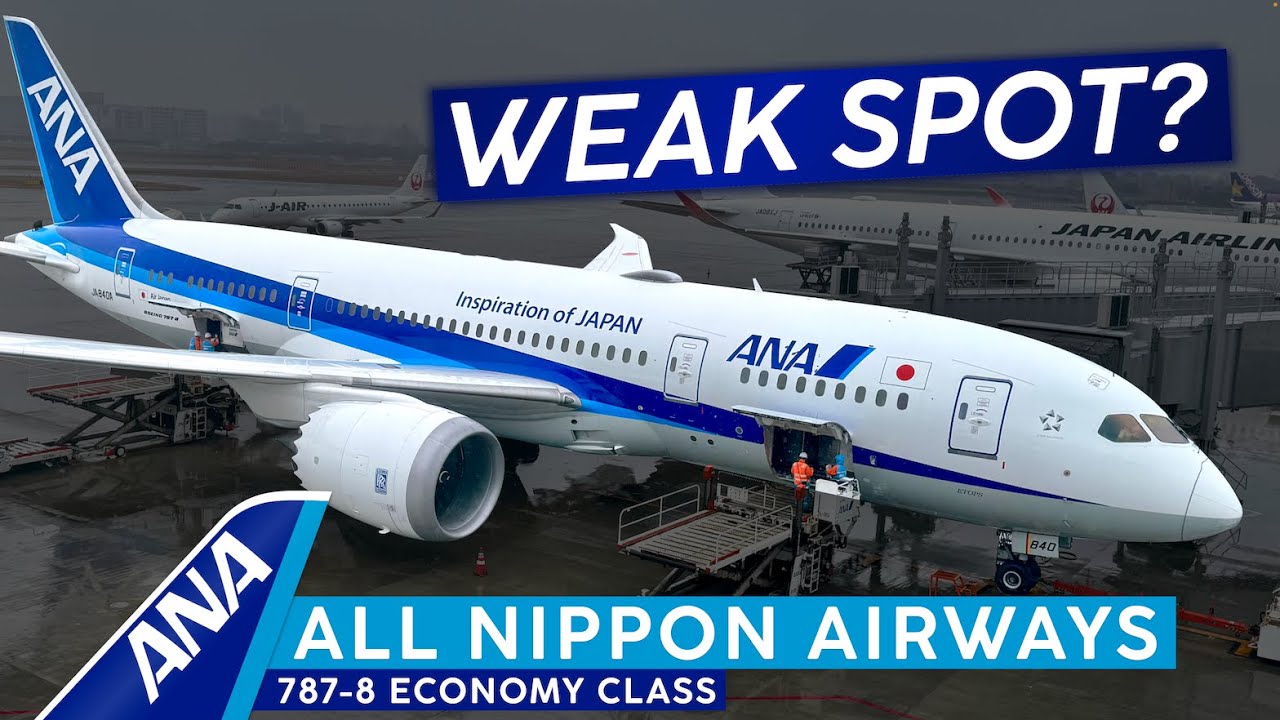 ANA 全日空商事｜B787-8Dreamliner NH20018｜1/200 ANA 全日空商事