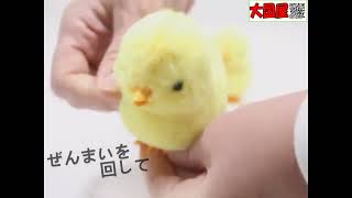 かわいいひよこちゃん| おもちゃ・ホビー・ゲーム・縁日玩具・大国屋