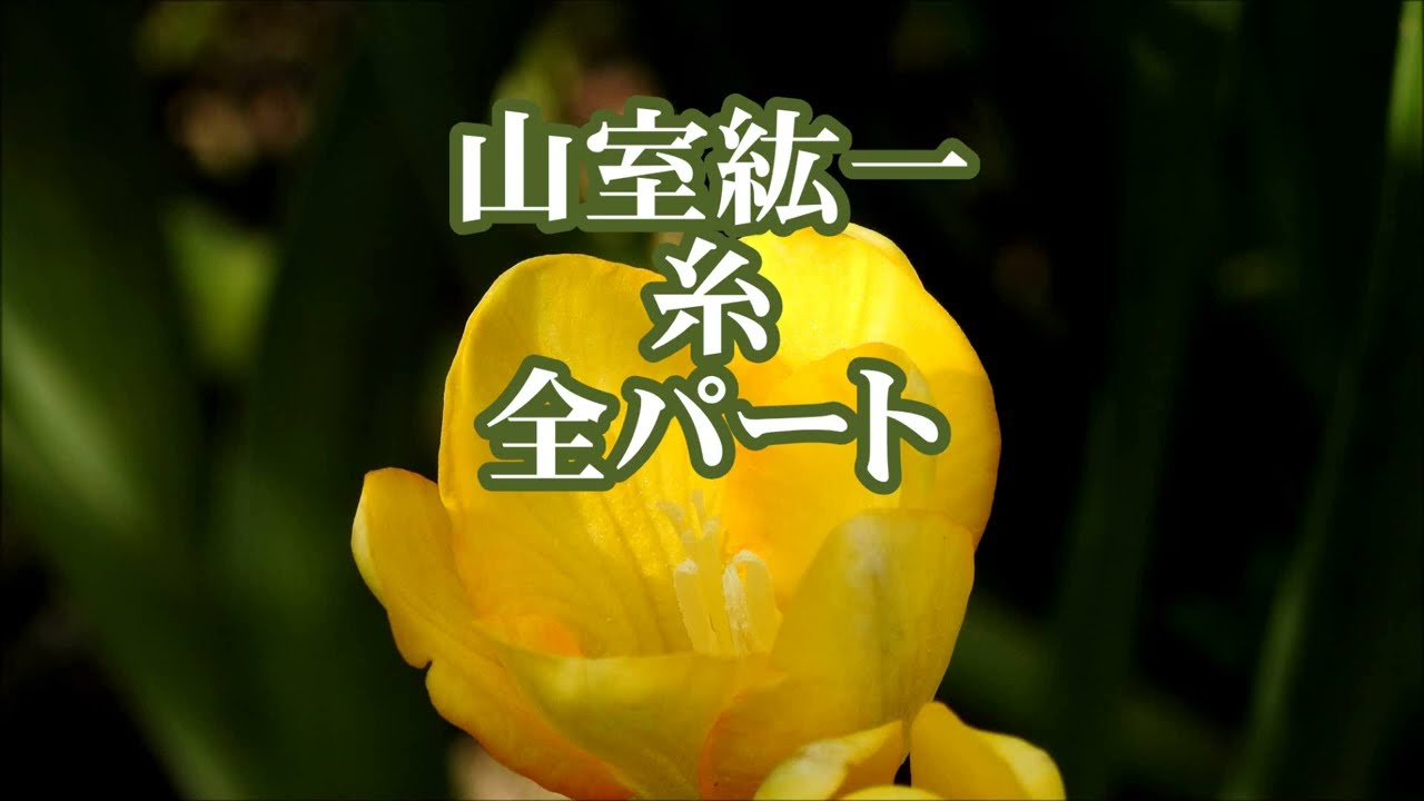 声がする‼︎ 血の中から！ さがみゆき 声がする‼︎ 血