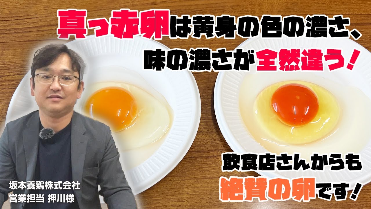 坂本養鶏株式会社』の『十六代真っ赤卵』は卵の色が全くっ違う！飲食店