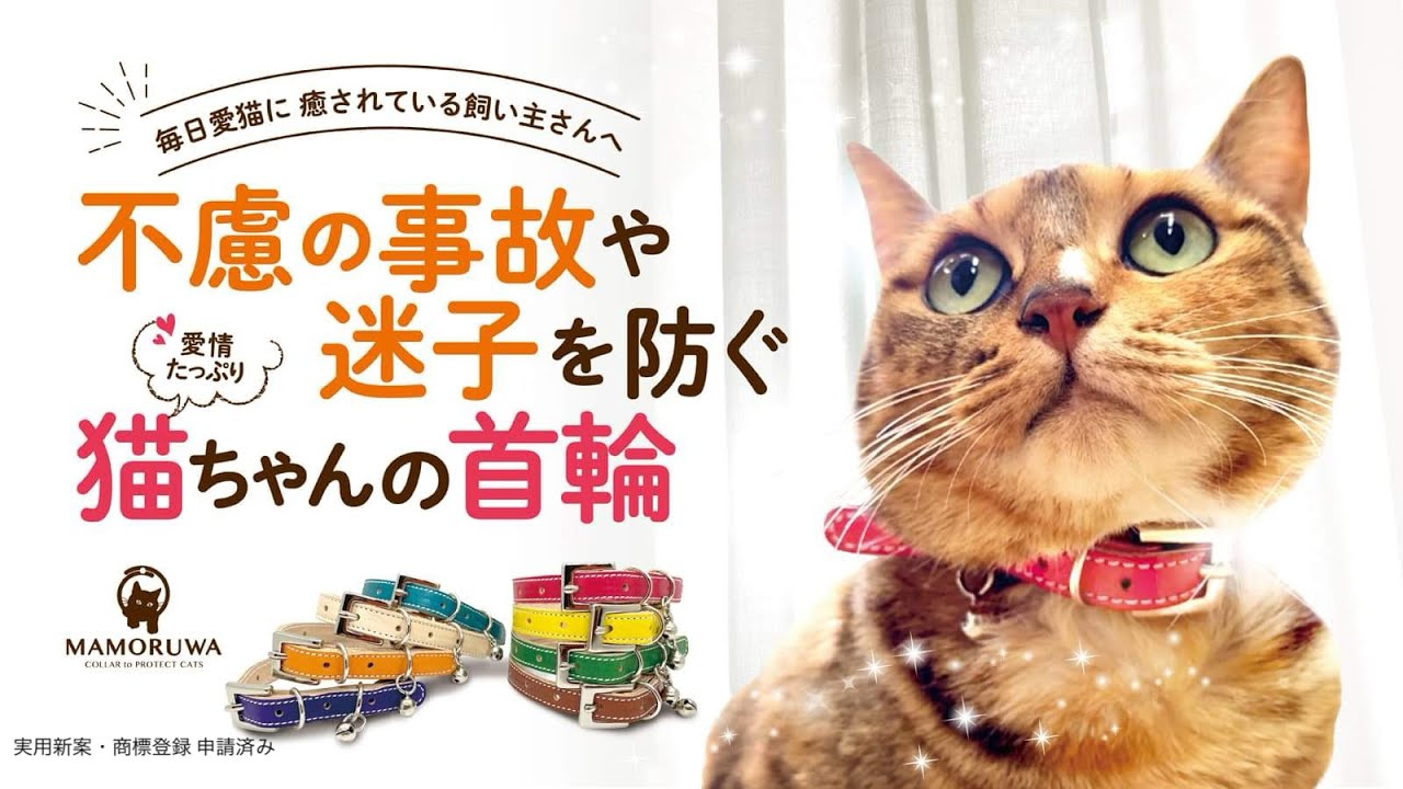 愛猫の大切な命を守る首輪【MAMORUWA】猫好きの革職人が本気で作った猫