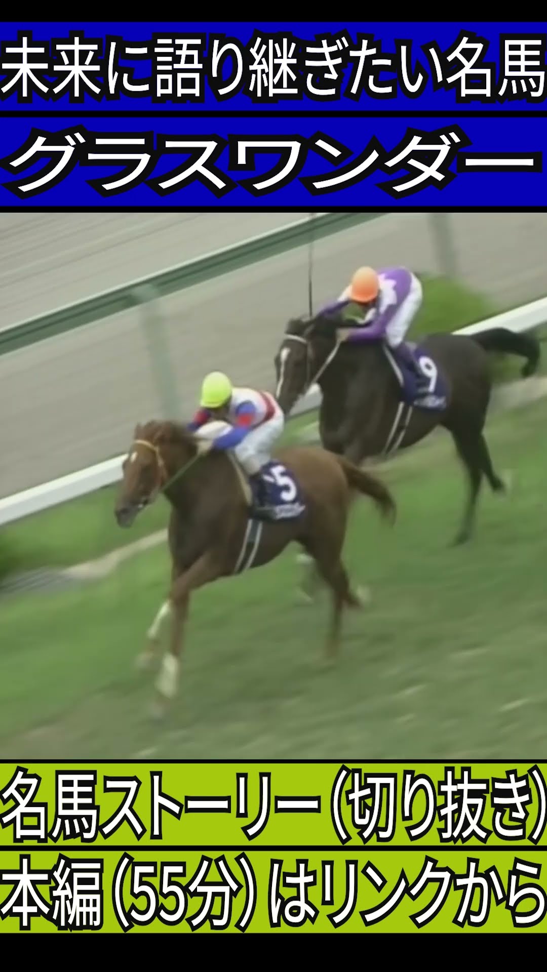 グラスワンダー 1999年宝塚記念 スペシャルウィークとの初対決