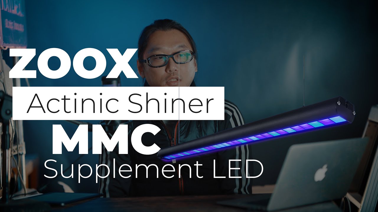 ZOOX アクティニックシャイナー90 アクシスシフト - 海水魚ショップ