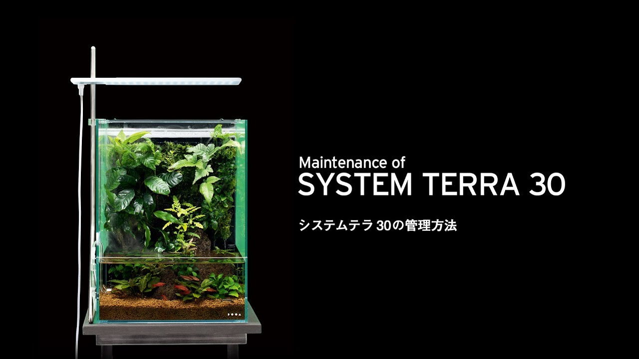 ADAview] NA Tips #06 Maintenance of SYSTEM TERRA 30 - YouTube