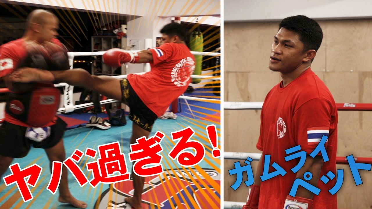 Gamraipet's mitt punches are insane! | Muay Thai kicks are on
