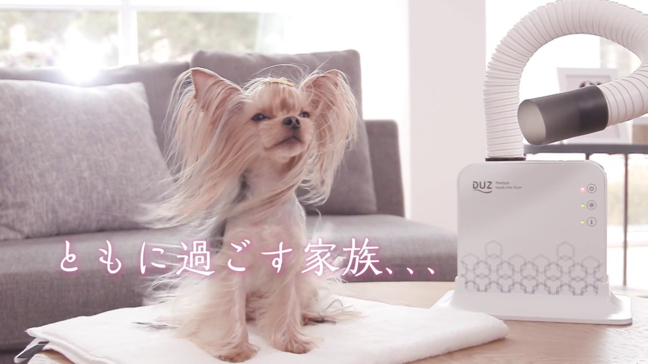 DUZ】ハンズフリードライヤー｜WANKOショップ 犬用グッズ、ドッグ