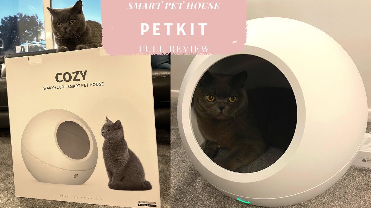 PETKIT COZY SMART HOUSE REVIEW | MEET OUR NEW BRITISH SHORTHAIR