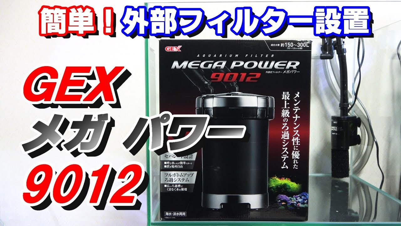 簡単！外部フィルター設置 メガパワー9012【オヤニラミ水槽#5】 - YouTube