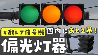 Two left] I saw the extremely rare 