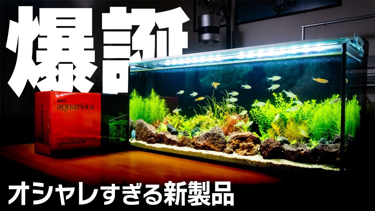 週末限定値下！未使用品 GEXアクアリスタグラスカスタム600 外掛け