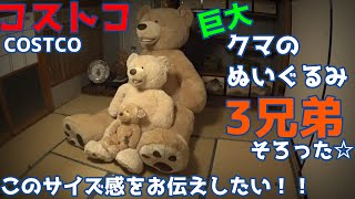 Complete set of Costco giant stuffed animals [3 brothers
