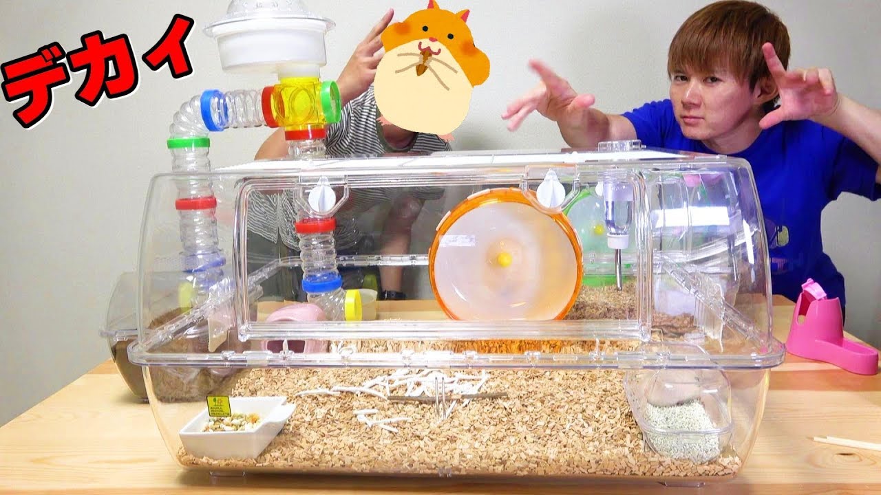 まとめ売りでお得】ハムスター飼育セット② ルーミィ60 ハムスター