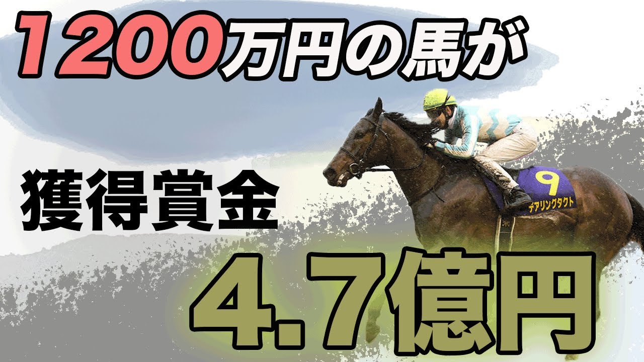デアリングタクト3冠達成記念品3点セット出資者限定 デアリングタクト3