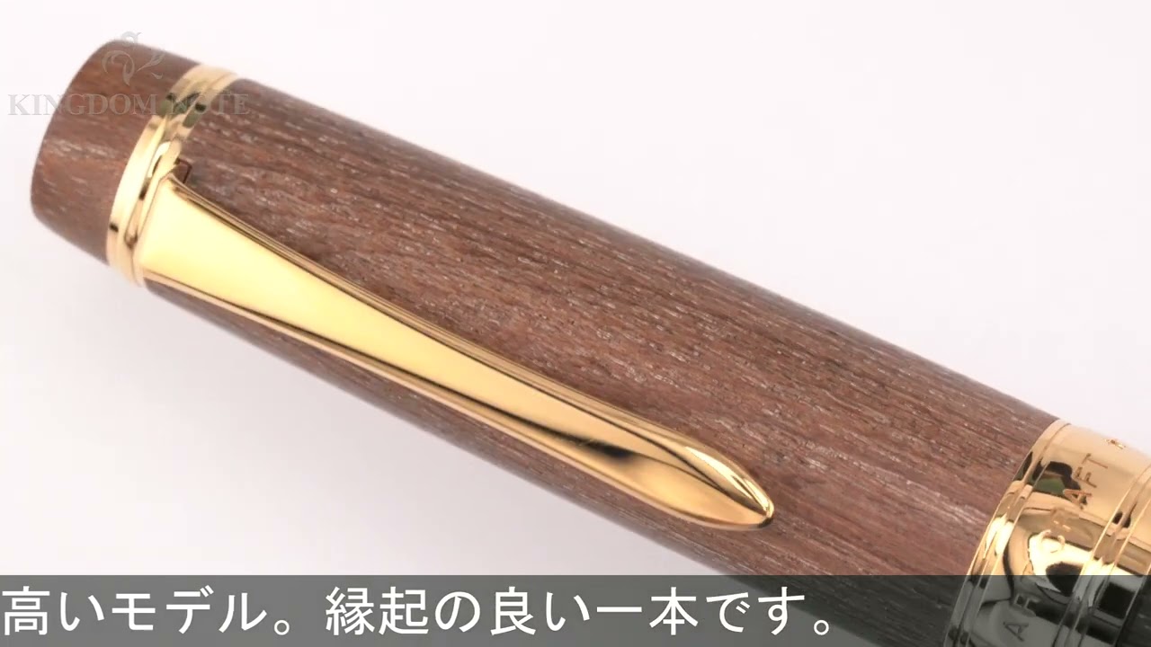 PILOT パイロット 万年筆 カスタム 槐-えんじゅ- 細字 - YouTube