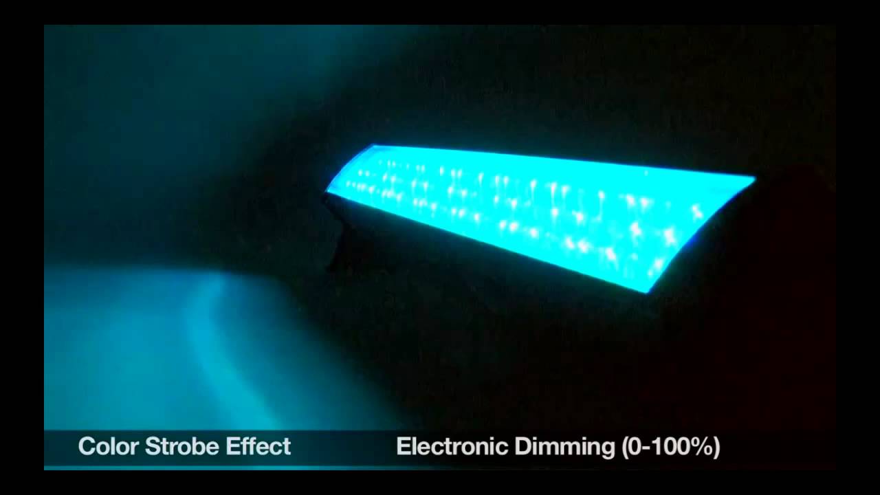 AMERICAN DJ / LEDウォッシャー MEGA BAR 50RGB RC - YouTube