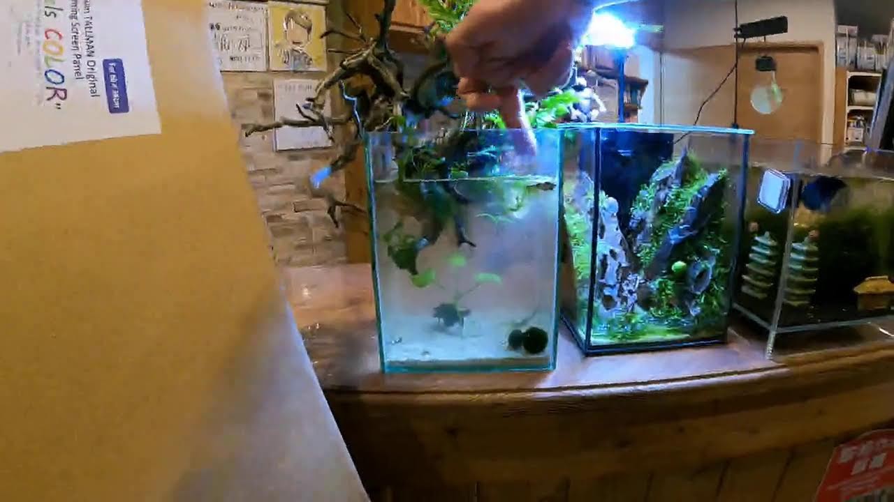 maxresdefault.jpg?sqp=-