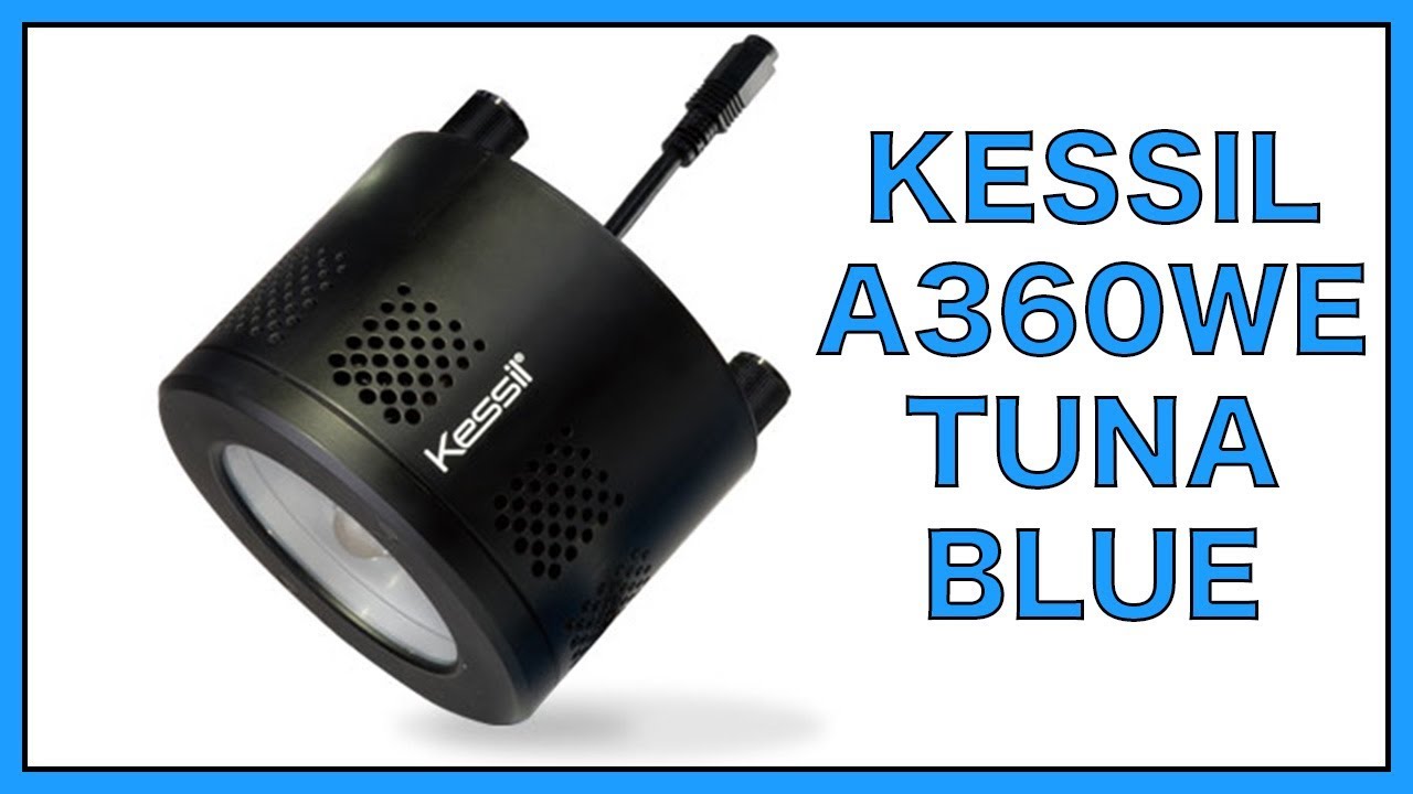 Kessil University- A360WE Tuna Blue - YouTube