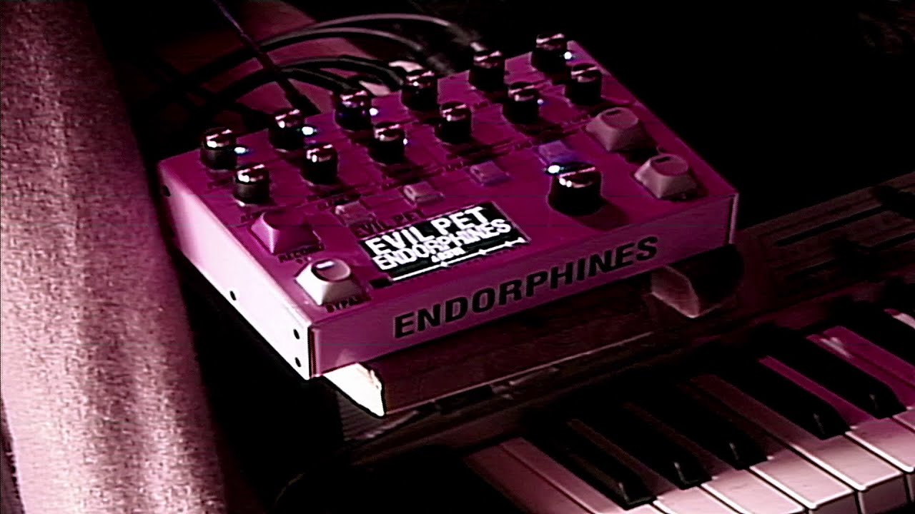 鍵盤楽器 Endorphin.es EVIL PET EVIL PET — ENDORPHIN.ES