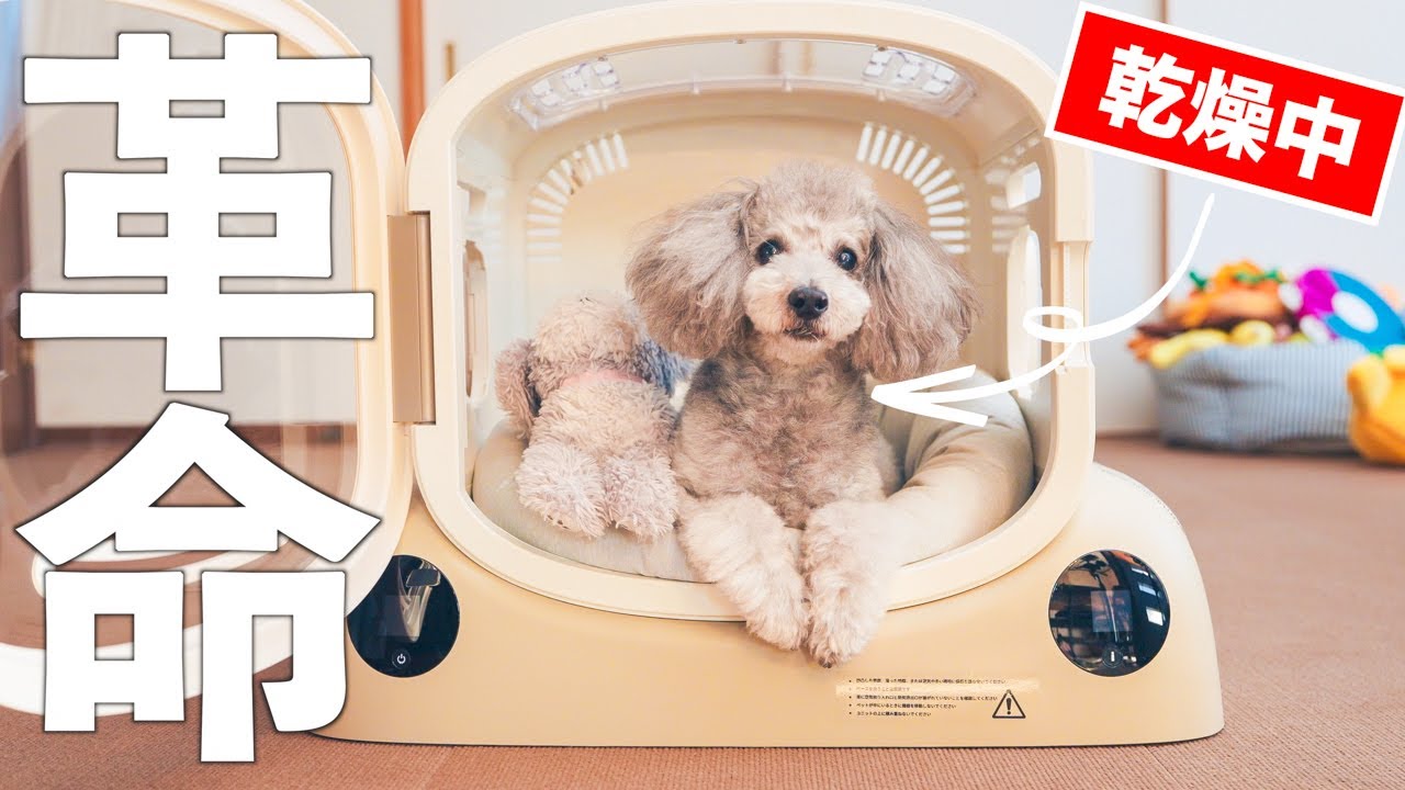 PetSnowy SMILE ペットドライヤーハウス 猫 犬 80L大容量 新品PetSnowy