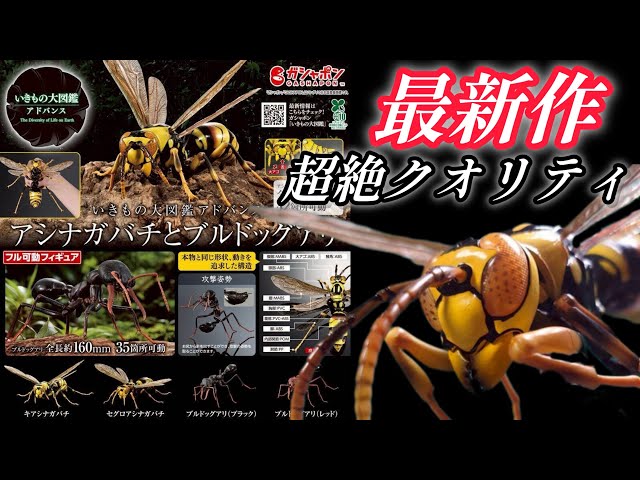 Gachapon] Advanced Encyclopedia of Living Creatures 