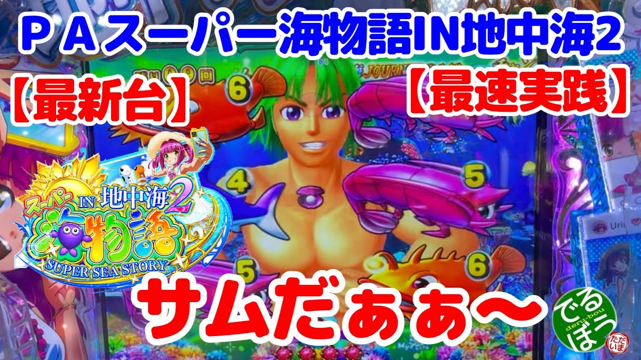 希少 入手困難 海物語 サンフラッシュ ハイビスカスフラッシュ 2点