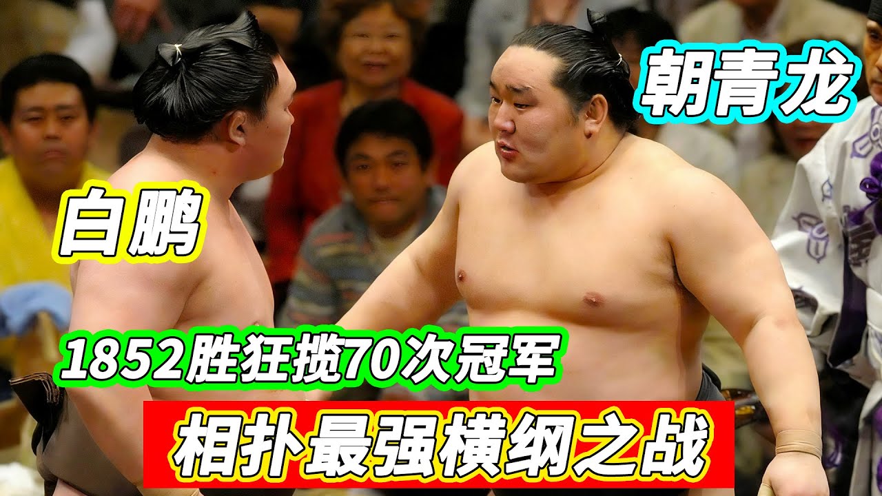 相撲最強大佬29次大战，669胜朝青龍vs1183胜白鵬，誰才是第一橫綱