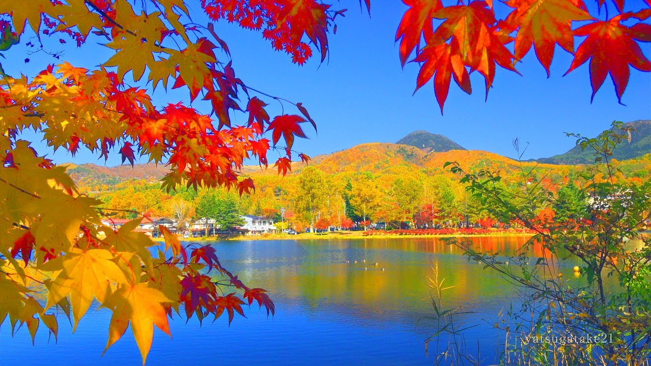 水彩画・風景画・紅葉'長野県のある秋の風景 水彩画・風景画・紅葉