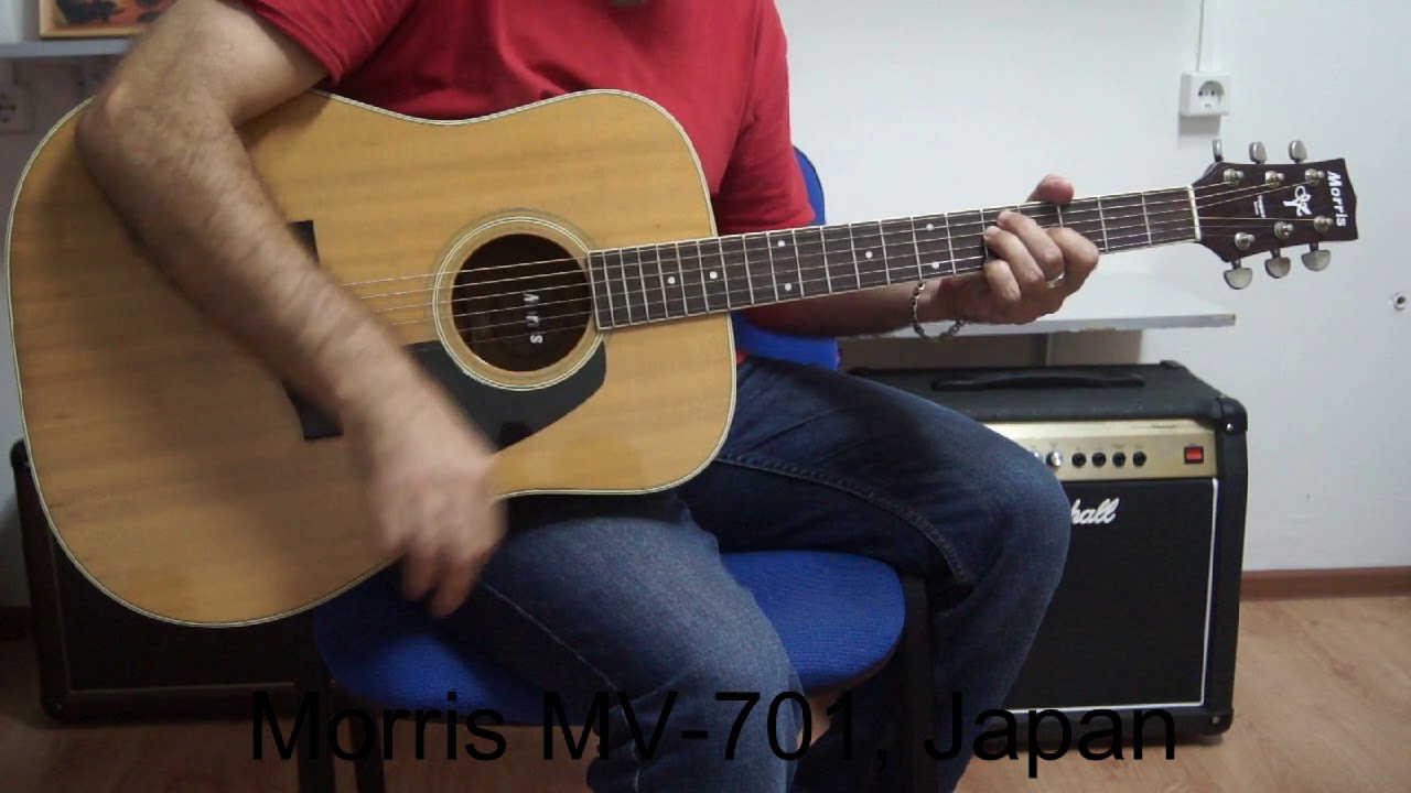 Morris MV-701 アコースティックギター Acoustic Guitar Morris MV-701