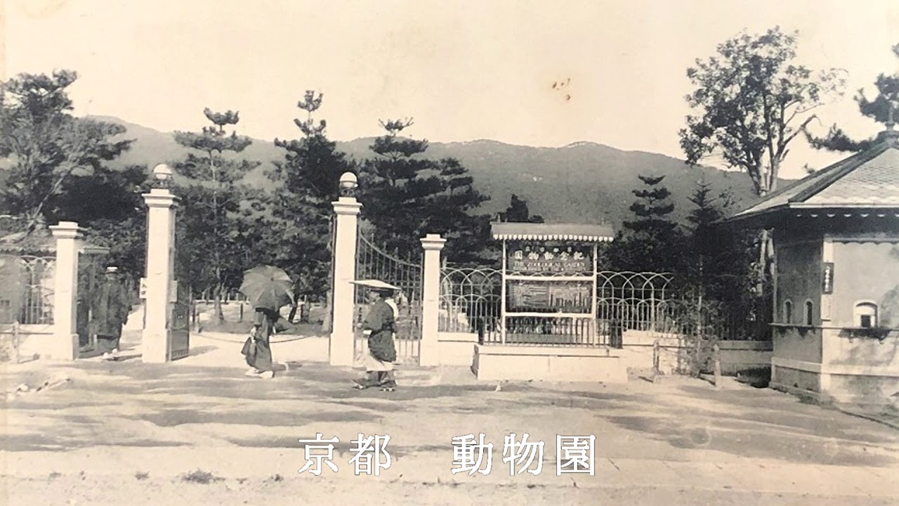 戦前絵葉書 京都 大谷中学校 5枚 正門 本館 図書室 運動場 野球 大正