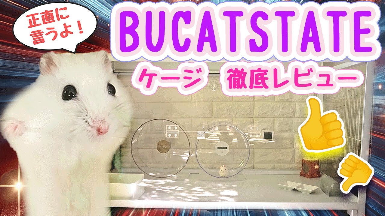BUCATSTATE ブカスター 新版 700 ハムスター ケージ 箱に傷有