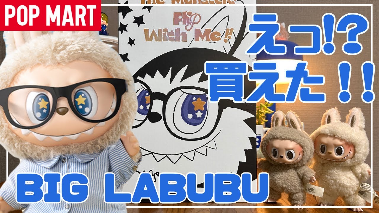 イニシャルD」検索結果 | アニメイト 頭文字D イニシャルD MFゴースト