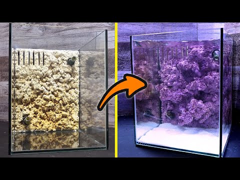 Remaking an aquarium used for a year with death rocks and homemade