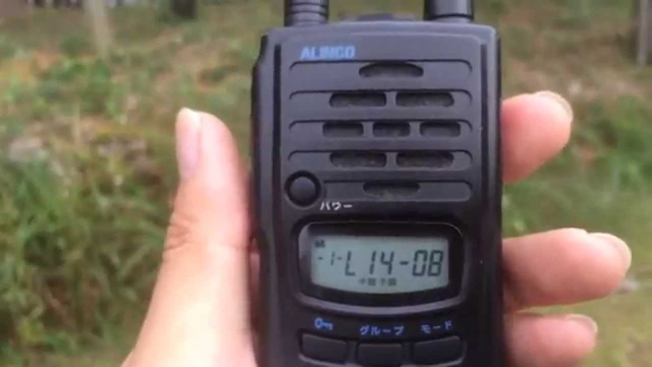 ALINCO DJ-P24L 特定小電力トランシーバー 【公式通販】