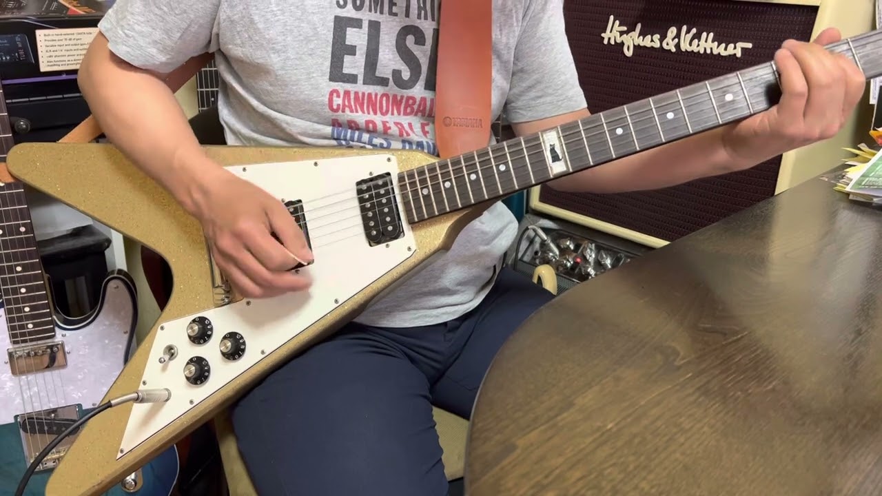 バーニー LV-115KK L'Arc~en~Ciel ken シグネチャーモデル フライングV