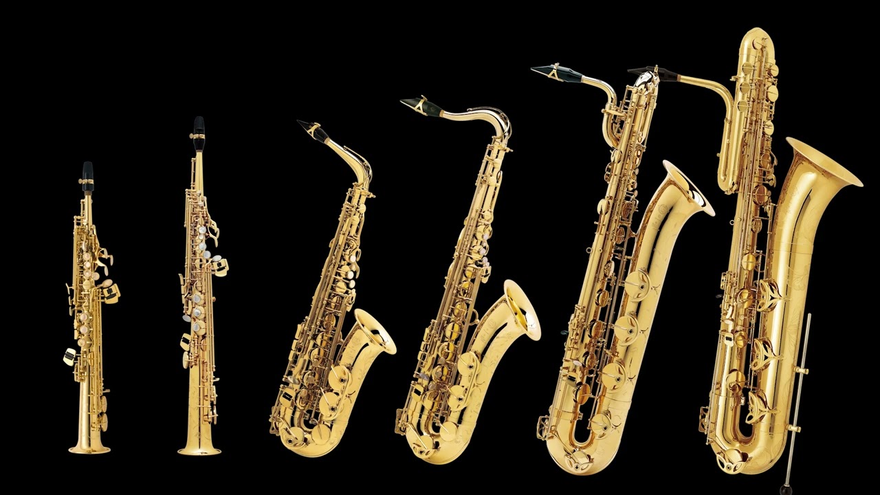 セレクション SELECTION アルトサックス 木管楽器 サクソフォン