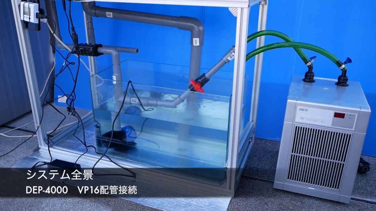 NEWモデル】DEP-4000 - saff design サフデザイン hsbao 背面濾過 水槽