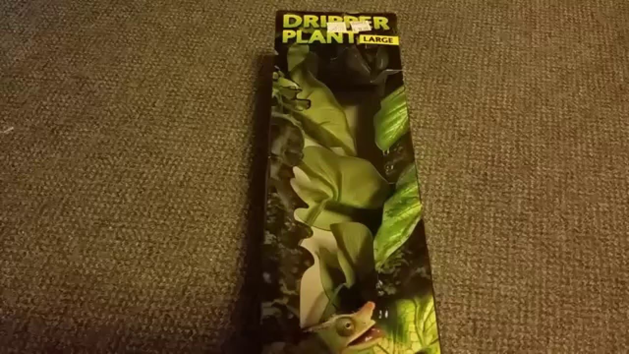 Exo terra plant dripper unboxing and quick look - YouTube