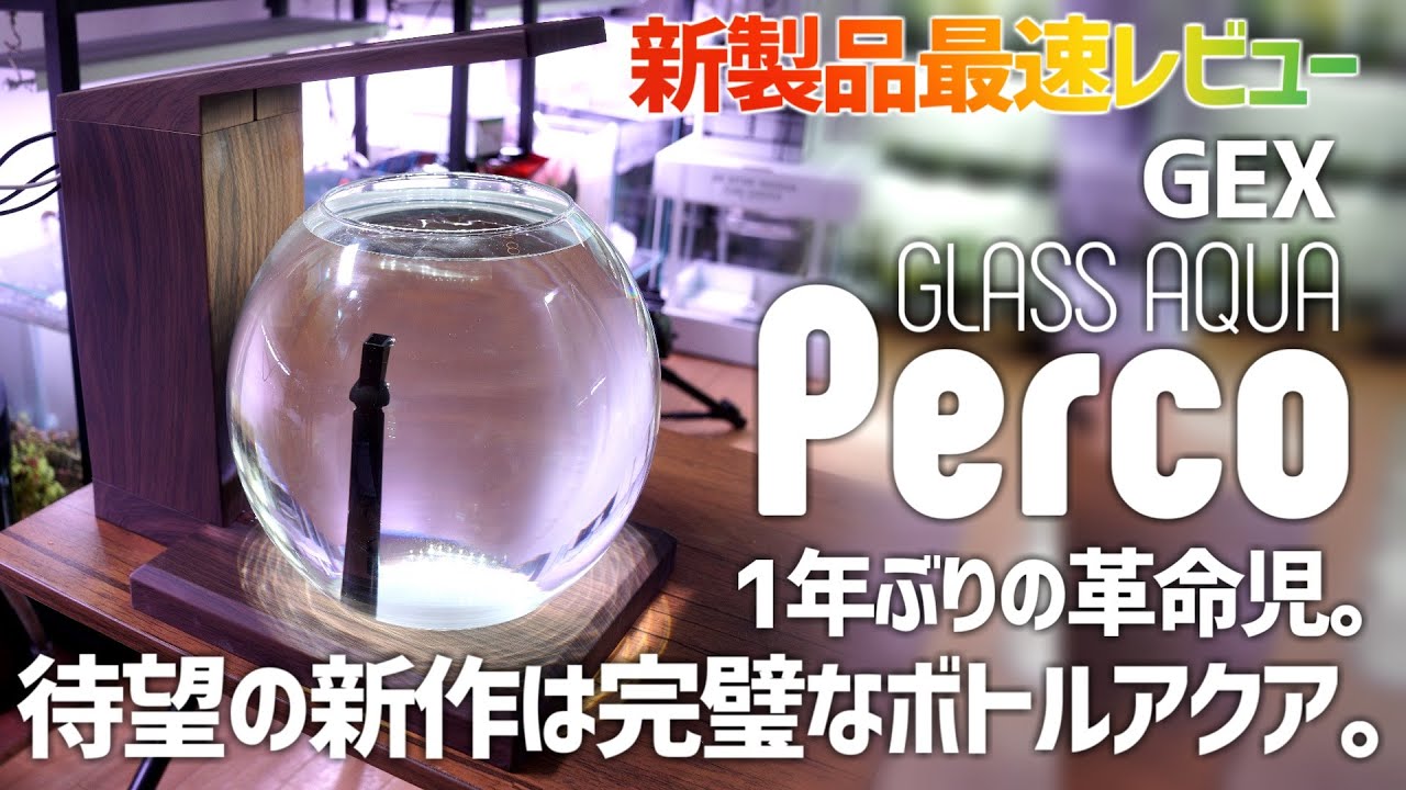 あのオールインワン水槽が進化して帰ってきた!!GEXグラスアクアペルコ