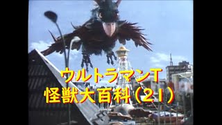 おうむ怪獣 エレジア ステータスカード ウルトラマンT タロウ おうむ