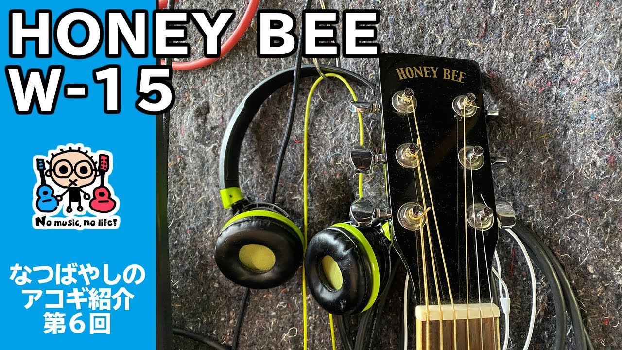 Introducing the HONEY BEE W-15 Natsubayashi Acoustic Guitar