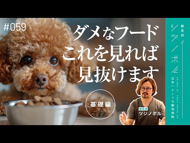Complete Edition] A veterinarian explains how to choose dog food