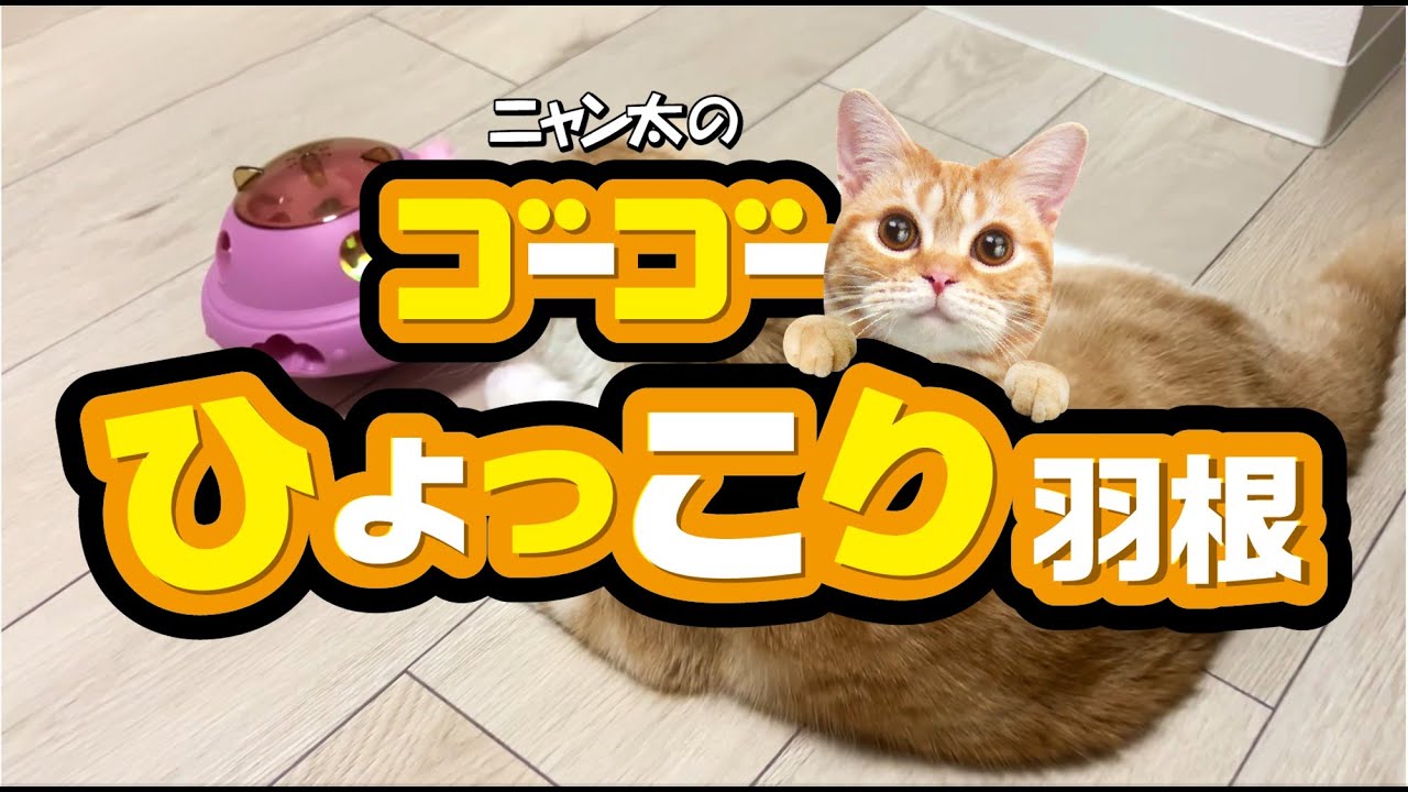 木の根ひょっこり猫 煙草盆 木の根ひょっこり猫 煙草盆