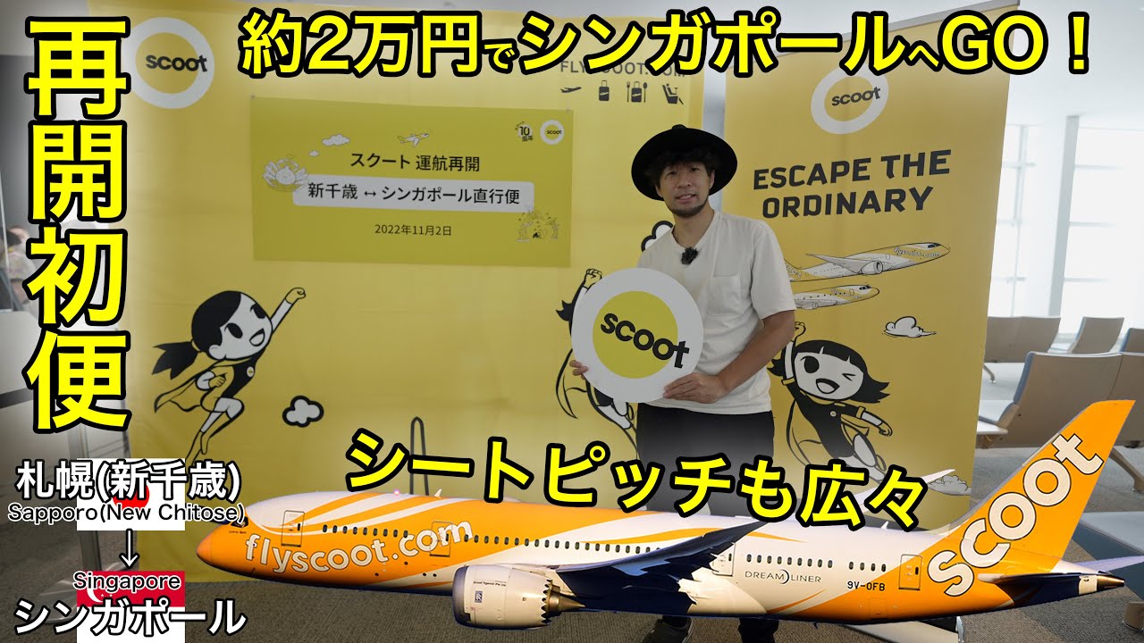 人間工学】メジャーリーガーも認めた快適な睡眠へ導くネックピロー