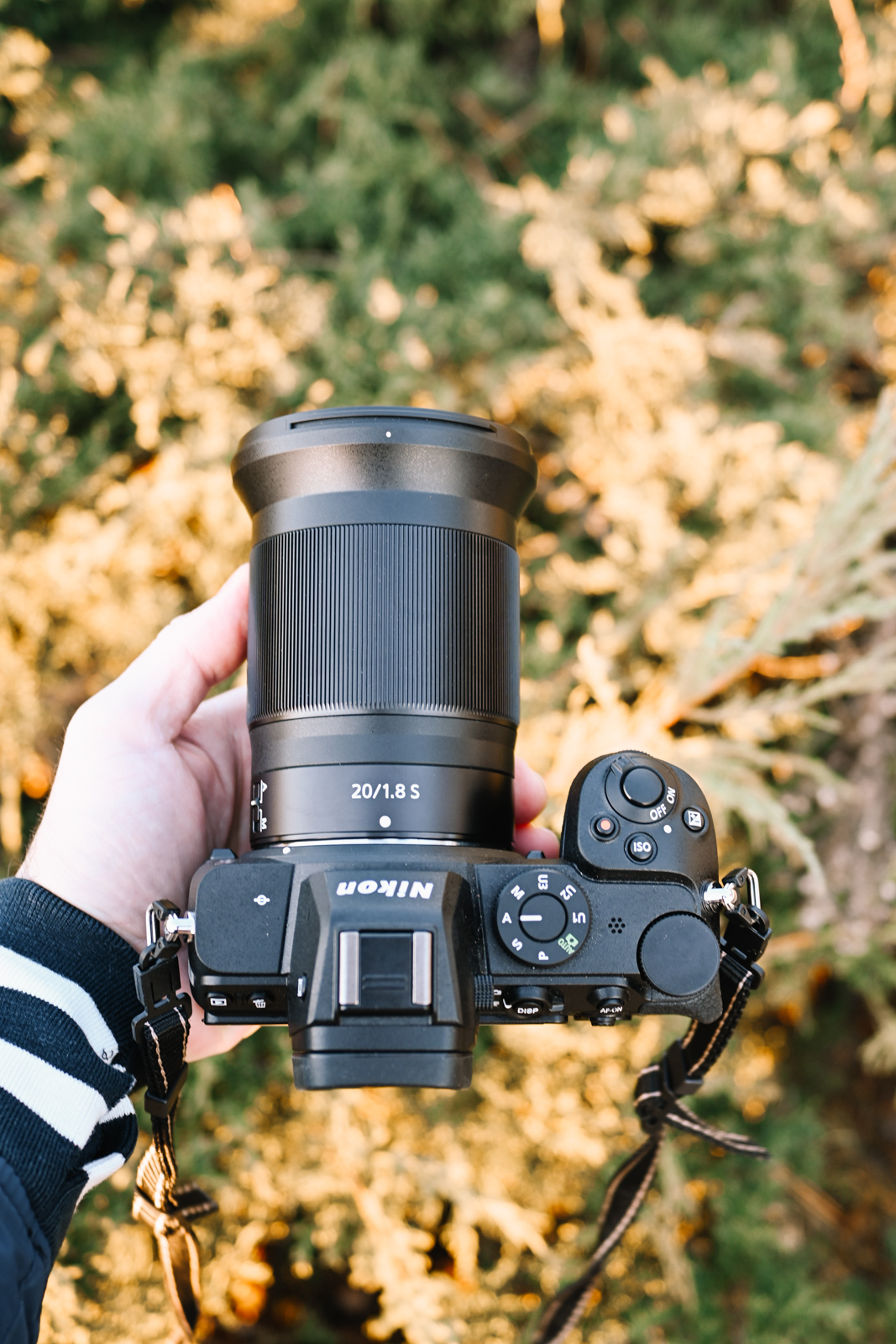 Nikon Nikkor Z 20mm f/1.8 S Lens Review - Casual Photophile
