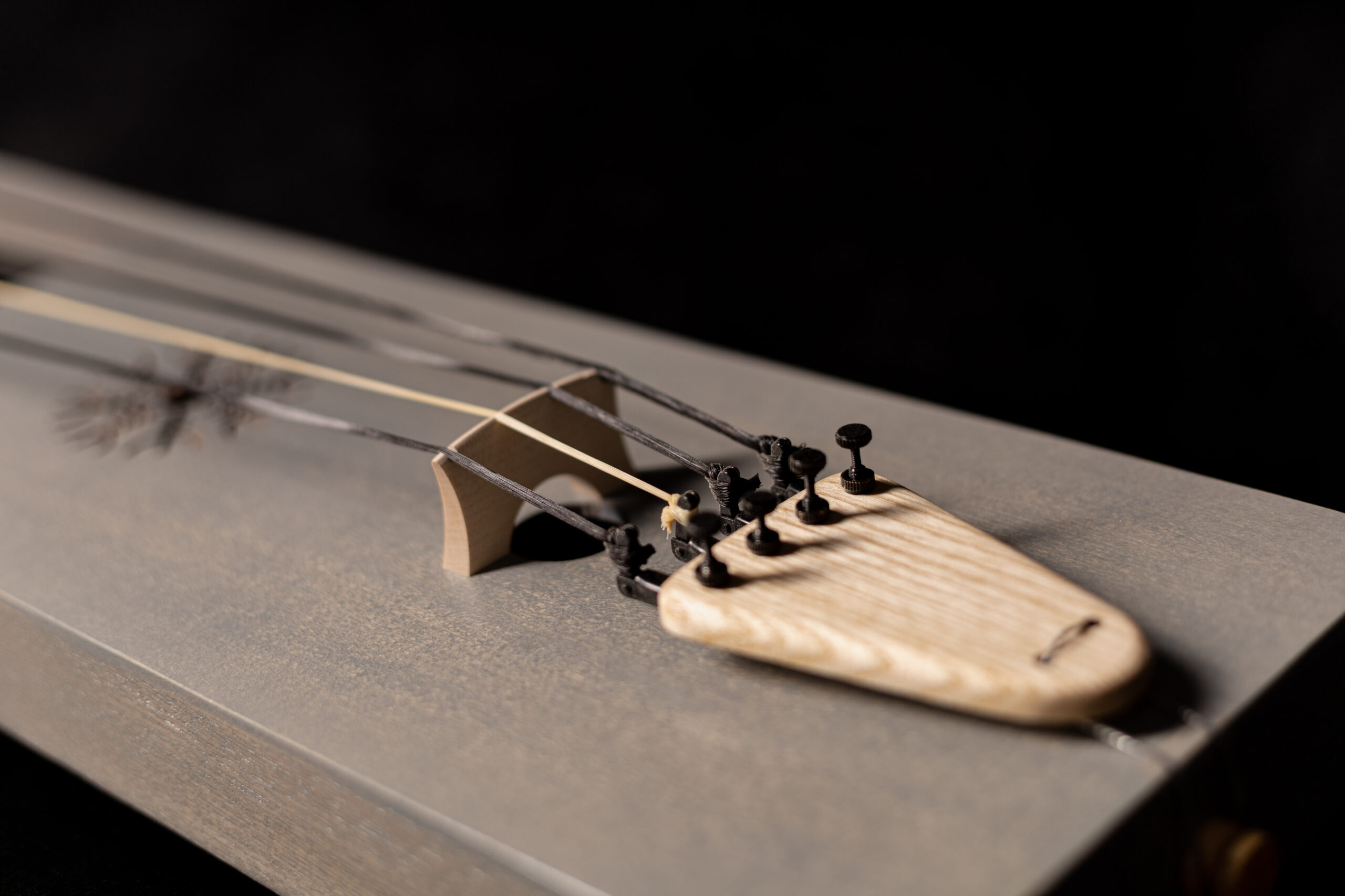 Tagelharpa タールハルパ Talharpa 北欧 民族楽器 職人手作り