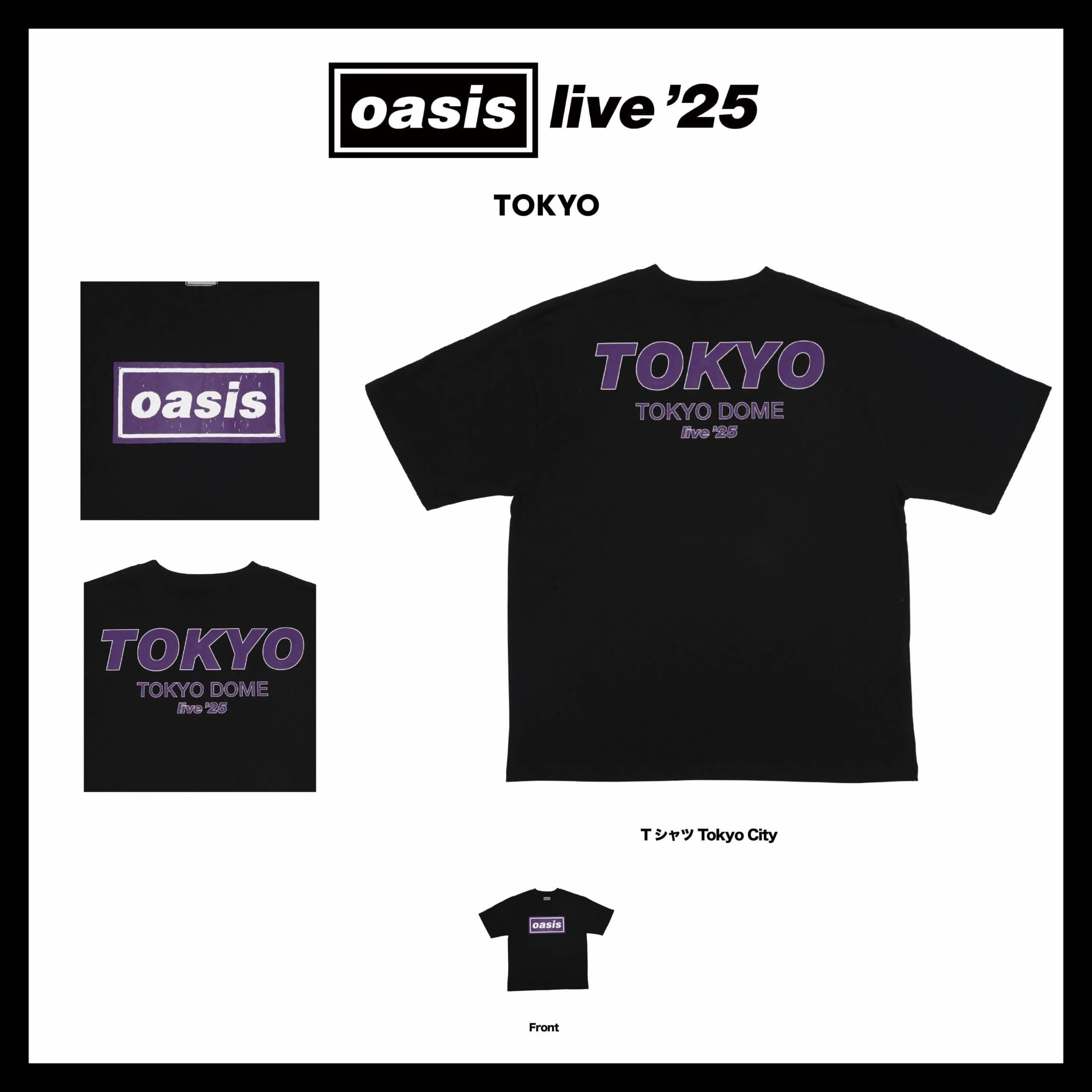 Oasis Tシャツ 富士【日本限定】 Mサイズ グレー oasis グレー Tシャツ